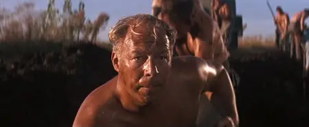 Cool Hand Luke (1967)