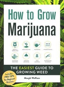 How to Grow Marijuana: The Easiest Guide to Growing Weed