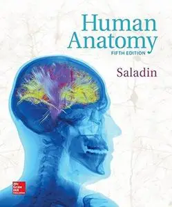 Human Anatomy (Repost)