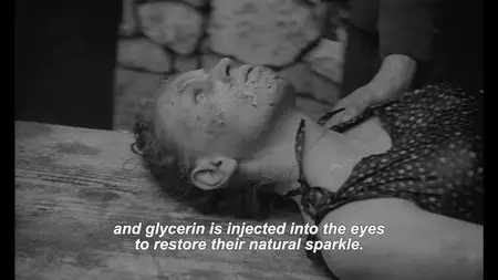 Ljubavni slucaj ili tragedija sluzbenice P.T.T. / Love Affair, or the Case of the Missing Switchboard Operator (1967)