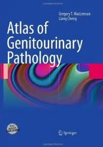 Atlas of Genitourinary Pathology (repost)