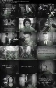 The Woman Disputed (1928)