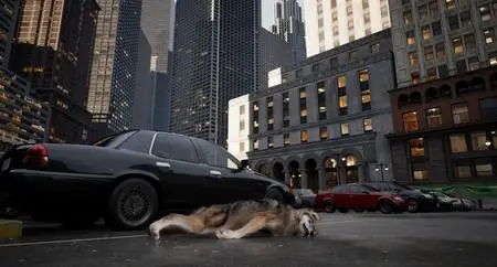 WOLF IN THE CITY (2024)