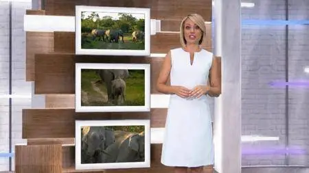 Journey with Dylan Dreyer S02E23