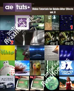 AE.TUTSPLUS - Video Tutorials for Adobe After Effects (Volume 8)