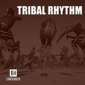 Various Artists - Tribal Rhythm (2015)