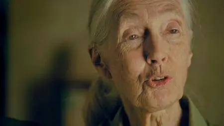 Jane (2017)
