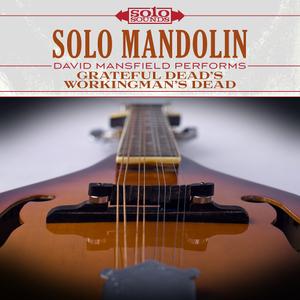 David Mansfield - Solo Mandolin: David Mansfield Performs Grateful Dead's Workingman's Dead (2017) [Digital Download 24/192]