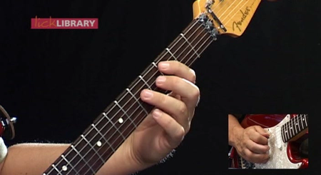 Lick Library - Learn to play Red Hot Chili Peppers - Volume 1,2