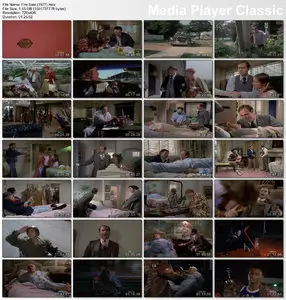 Fire Sale (1977) 