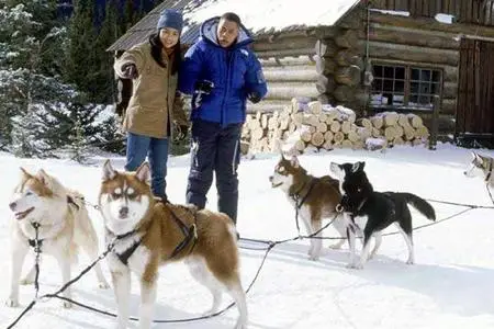 Chiens des neiges (DVDrip) VF