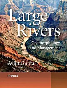 "Large Rivers: Geomorphology and Management"  ed. by Avijit Gupta (Repost)