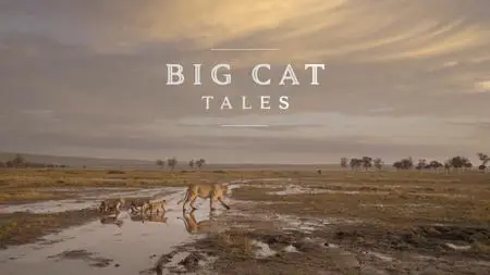 Big Cat Tales (2018)