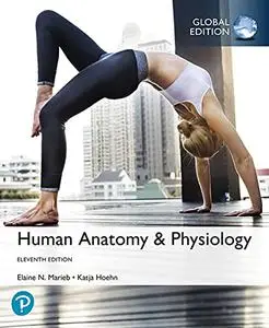 Human Anatomy And Physiology (11th Global Edition)