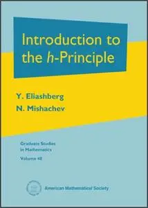 Introduction to the h-Principle