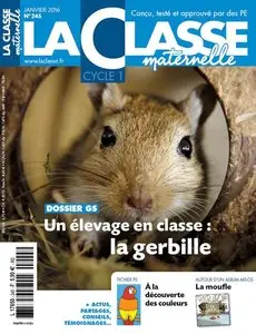 La Classe Maternelle - Janvier 2016
