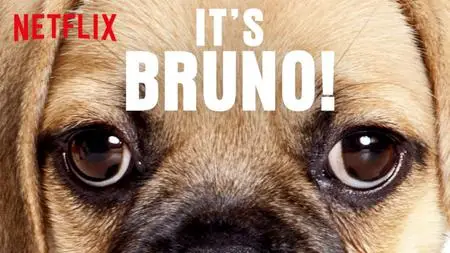 It's Bruno! (2019) Season 1