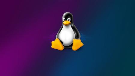 Basics of Linux Command Line