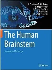 The Human Brainstem: Anatomy and Pathology