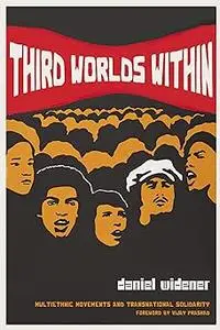 Third Worlds Within: Multiethnic Movements and Transnational Solidarity