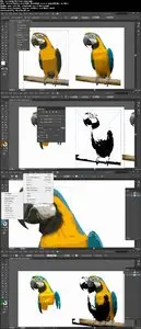 Illustrator - Creating stylised images from a photo
