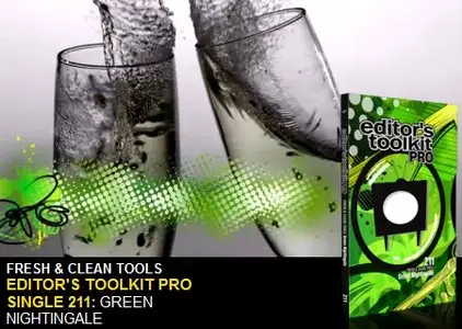 Digital Juice Editor's Toolkit Pro Singles 211: Green Nightingale