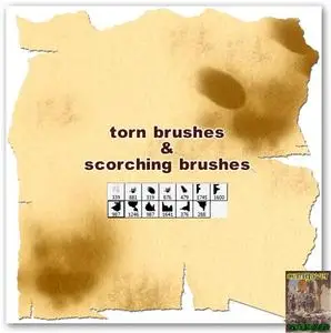Torn Scorching Brushes