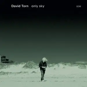 David Torn - Only Sky (2015)