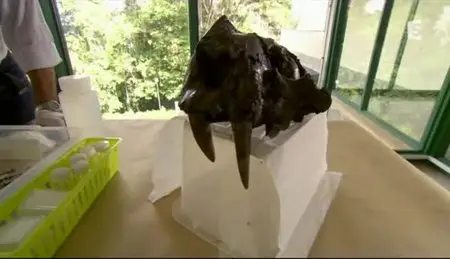 (Fr5) La collision des continents (2012)