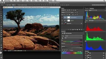 Learning Photoshop Color Correction