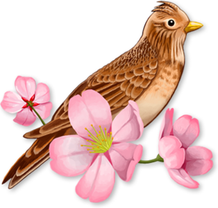Hibari v1.5.4 Mac OS X