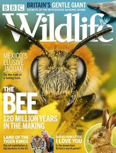 BBC Wildlife Magazine – July 2020