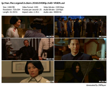 The Legend Is Born: Ip Man (2010)