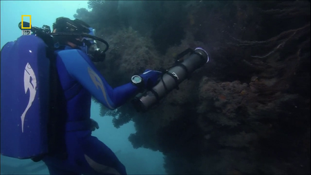 PBS - Ocean Adventures: Americas Underwater Treasures (2006)