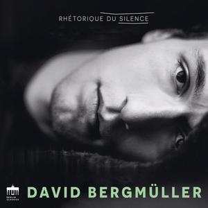 David Bergmüller - Rhétorique du Silence (2023)