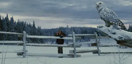 Un Anno da Leoni (2011)