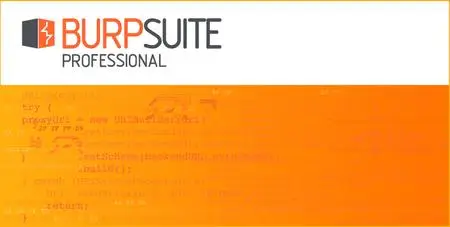 Burp Suite Professional 2020.2 Build 1565