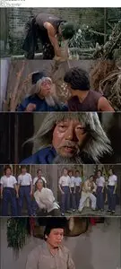 Snake in the Eagle's Shadow / Se ying diu sau (1978)