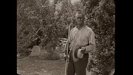 Seven Chances (1925)