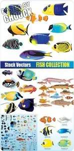Fish collection - Stock Vector