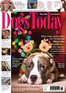 Dogs Today – January 2015