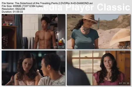 The Sisterhood of the Traveling Pants 2 (2008)