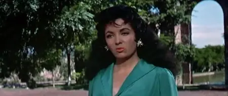 The Last of the Fast Guns (1958)