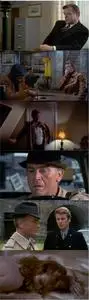 A Black Veil for Lisa (1968) La morte non ha sesso