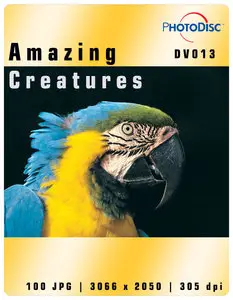 Amazing Creatures