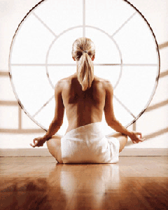 Venerable Sujiva -  Essentials of Insight Meditation 