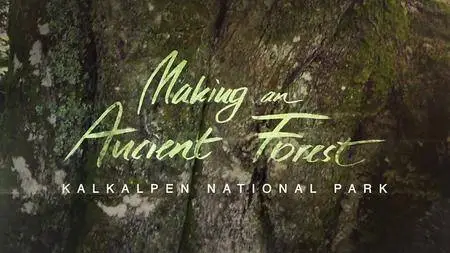 Science Vision - Making an Ancient Forest: Kalkalpen National Park (2015)