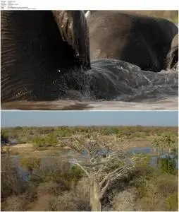 Victoria Falls: Africa's Garden of Eden (2021)
