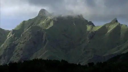 Water Life - Planet Water (2009)