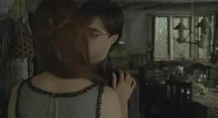 Harry Potter et les reliques de la mort - 1ère partie (2010) 